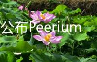 华为公布Peerium计算架构：让百万处理器成为一台计算机